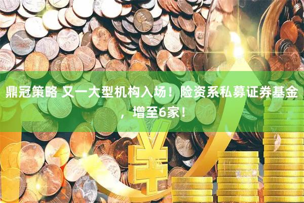 鼎冠策略 又一大型机构入场！险资系私募证券基金，增至6家！