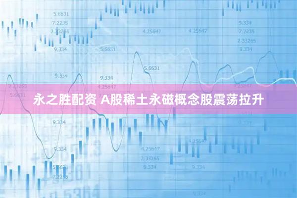 永之胜配资 A股稀土永磁概念股震荡拉升