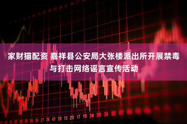 家财猫配资 嘉祥县公安局大张楼派出所开展禁毒与打击网络谣言宣传活动