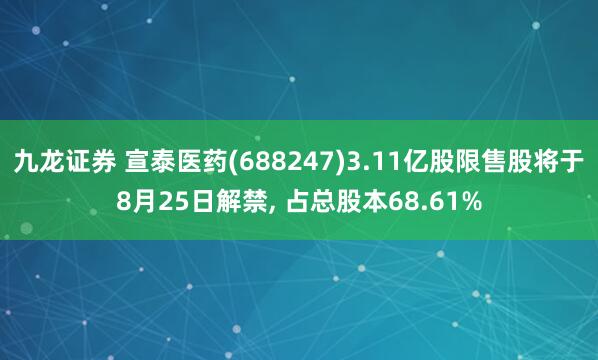 九龙证券 宣泰医药(688247)3.11亿股限售股将于8月25日解禁, 占总股本68.61%