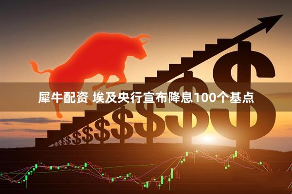 犀牛配资 埃及央行宣布降息100个基点
