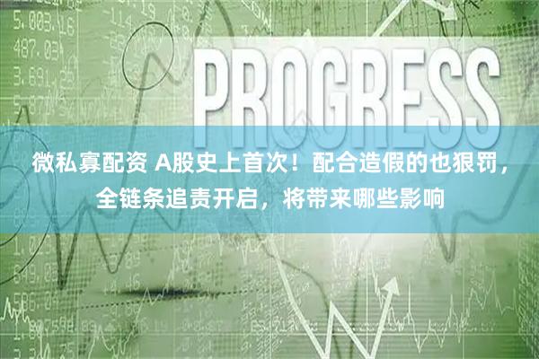 微私寡配资 A股史上首次！配合造假的也狠罚，全链条追责开启，将带来哪些影响