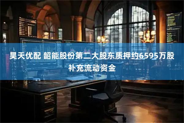 昊天优配 韶能股份第二大股东质押约6595万股补充流动资金