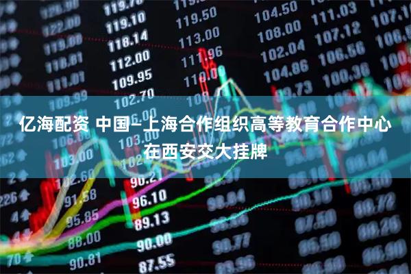 亿海配资 中国—上海合作组织高等教育合作中心在西安交大挂牌