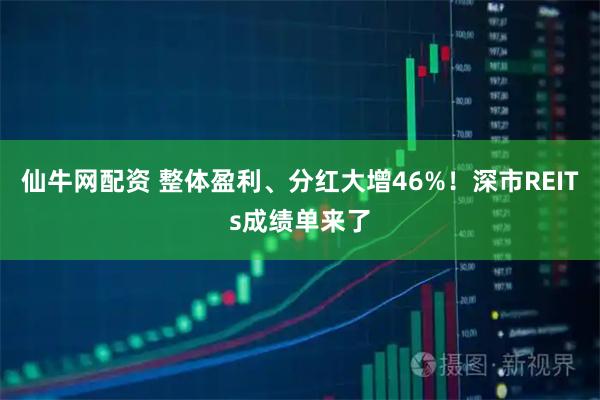 仙牛网配资 整体盈利、分红大增46%！深市REITs成绩单来了